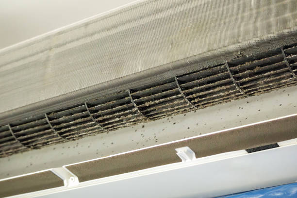 Reliable LA Airduct Cleaning Solutions