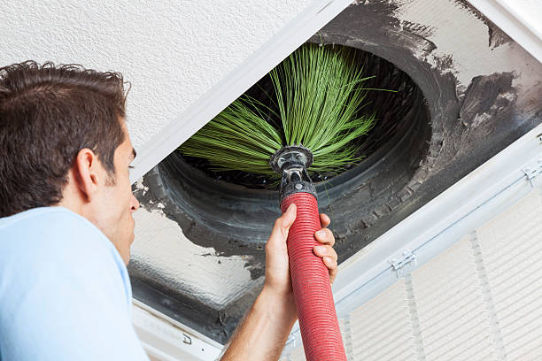 Best Air Vent Cleaning Services  in Terrytown, LA